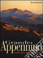 Giovannetti Bruno; Giovannetti L. (cur.)