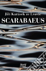 Karsek ze Lvovic Jir