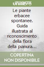 Contarini Ettore