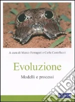 Ferraguti M. (cur.); Castellacci C. (cur.)