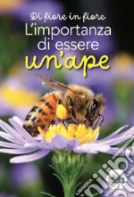Mazzocchi Luca