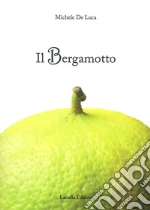 De Luca Michele