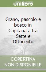 Russo Saverio