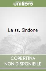 Fino Saverio; Lanza Giovanni; Mestorino C. (cur.)