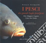 Grimaldi Ettore; Giudice Gianfranco