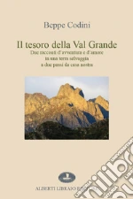 Codini Beppe