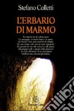 Colletti Stefano