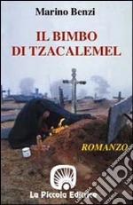 Benzi Marino; Comini L. (cur.)
