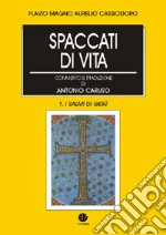 Cassiodoro Flavio Magno Aurelio; Caruso A. (cur.)