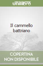 Malatesta Stefano