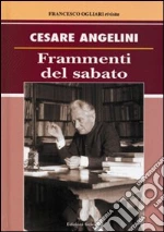 Angelini Cesare; Ogliari F. (cur.)