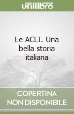 Casula C. Felice