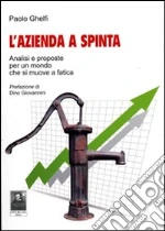 Ghelfi Paolo