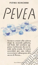 Ronchini Pietro