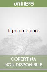 Piccinelli F. (cur.)