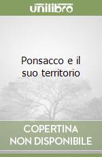Pettinelli Fausto; Bertini M. (cur.)