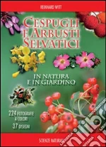 Witt Reinhard; Pandolfi M. (cur.); Padovan F. (cur.)