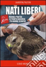 Lambertini Marco; Palestra Luca