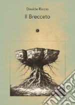 Riccio Davide