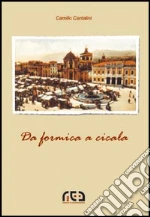 Cantalini Camillo
