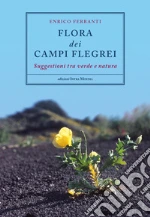 Ferranti Enrico