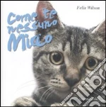 Wilson Felix