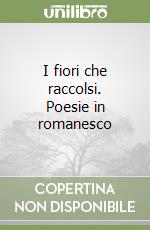 Tanzini Vincenzo; Seracini A. (cur.)