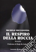 Riccadonna Michele; Seracini A. (cur.)