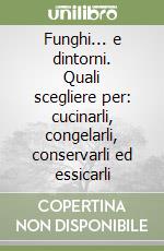 Furlan Ennio