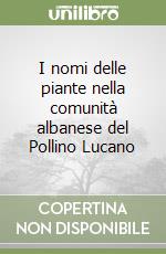 Scutari Pasquale
