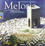 Quilici Folco; Vaccari Olimpia; Barsotti Gianfranco; Tangheroni M. (cur.)