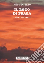Di Tizio Gino