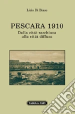 Di Biase Licio