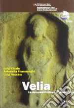 Cicala Luigi; Fiammenghi C. Antonella; Vecchio Luigi