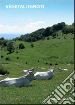 Scarabelli L. (cur.); Paracchini R. (cur.)
