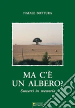 Bottura Natale