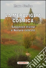 Stenico Mauro