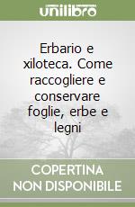 Contarini Ettore