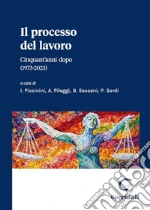 Piccinini I. (cur.); Pileggi A. (cur.); Sassani B. (cur.)