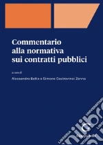 Botto A. (cur.); Castrovinci Zenna S. (cur.)