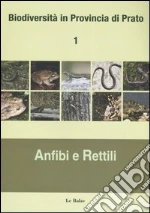 Nistri Annamaria; Fancelli Elisabetta; Vanni Stefano