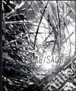 Marco C. (cur.); Cioncolini P. (cur.)