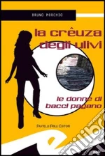 Morchio Bruno
