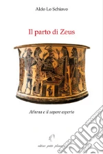 Lo Schiavo Aldo; Fiorillo C. (cur.)
