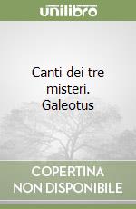 Caffarelli Lamberto; Fagnocchi G. (cur.)