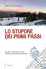Castellucci Erio
