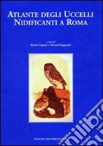 Cignini Bruno; Zapparoli Marzio