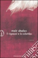 Shalev Meir