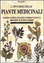 Riva Ernesto