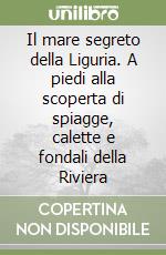 Roccati Christian; Falcone Christian